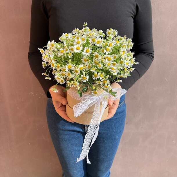 Ромашки в крафтовой коробочке, артикул F1353979 - 6024 рублей, доставка по городу. Flawery - доставка цветов