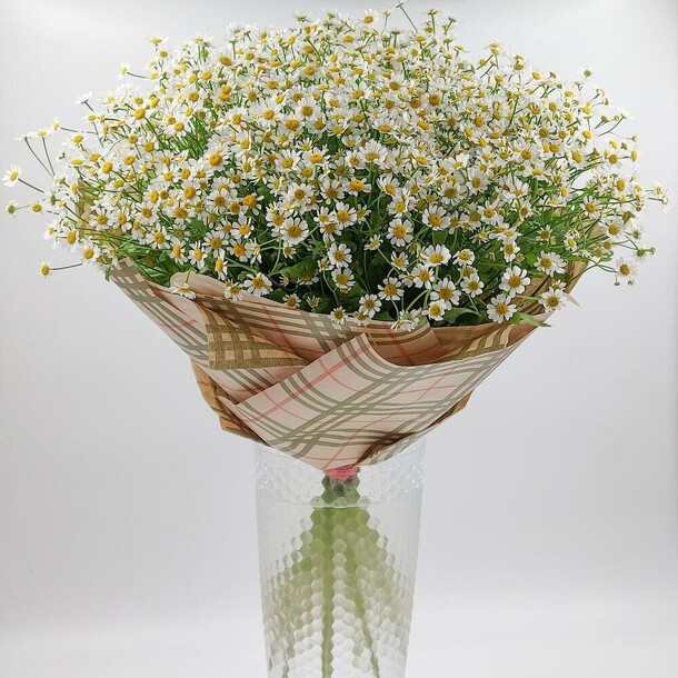 Ромашки для мамочки, артикул F1354341 - 17783 рублей, доставка по городу. Flawery - доставка цветов