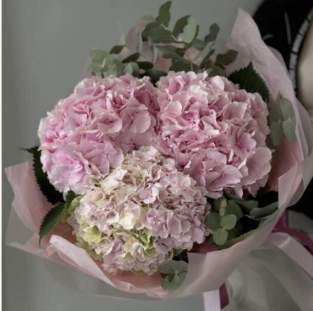 Букет цветов  из 3 колумбийских голубых гортензий с эвкалиптом, артикул F1368796 - 3500 рублей, доставка по городу. Flawery - доставка цветов