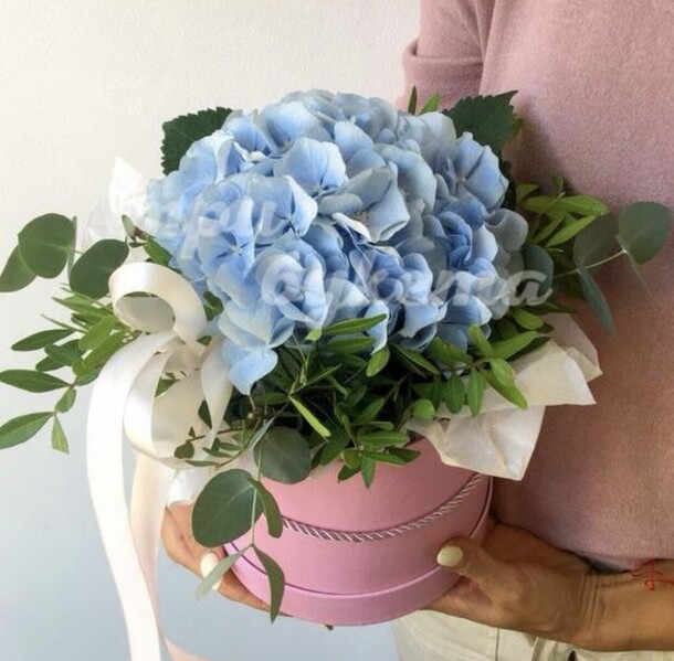 Гортензия в коробке «лазурная весна», артикул F1378876 - 2900 рублей, доставка по городу. Flawery - доставка цветов