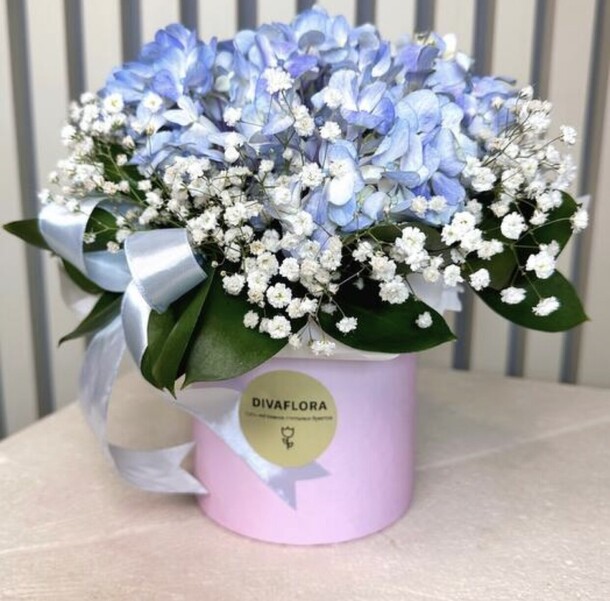 Гортензия в коробке "симфония", артикул F1378890 - 2650 рублей, доставка по городу. Flawery - доставка цветов