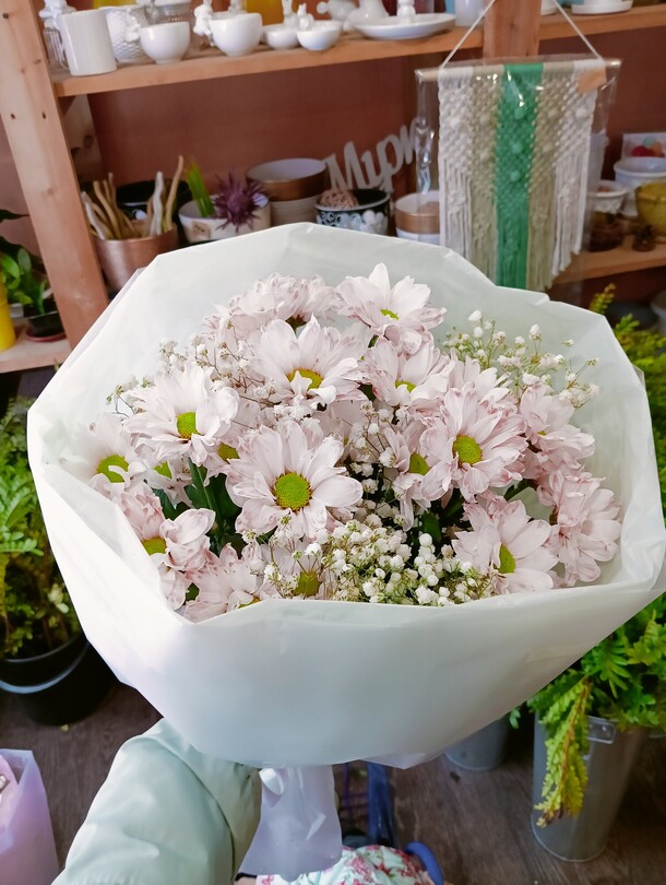 Бекет алиса, артикул F1350338 - 3771 рублей, доставка по городу. Flawery - доставка цветов