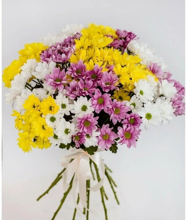 Разноцветные ромашки, артикул F1362152 - 9983 рублей, доставка по городу. Flawery - доставка цветов
