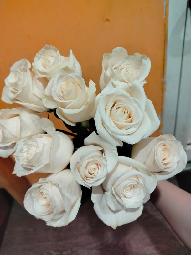 11 белых роз, артикул F1362154 - 7319 рублей, доставка по городу. Flawery - доставка цветов