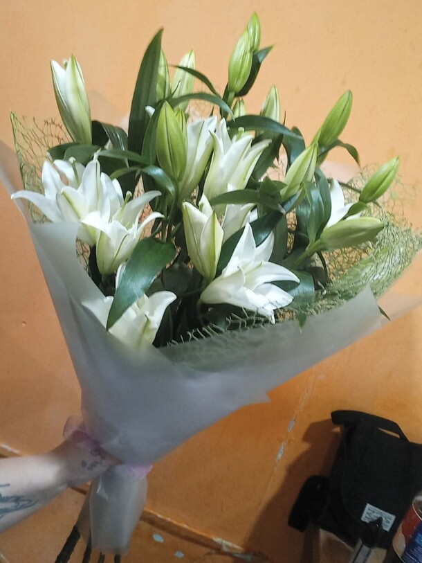 Лилия в упаковке 5шт, артикул F1363516 - 7583 рублей, доставка по городу. Flawery - доставка цветов