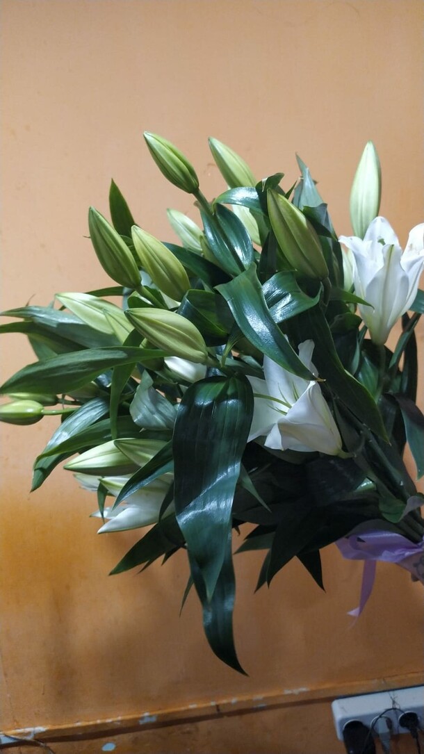 Лилия 9шт под ленту, артикул F1367714 - 16971 рублей, доставка по городу. Flawery - доставка цветов