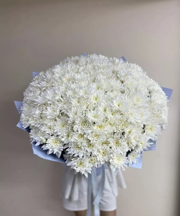 51 кустовая хризантема, артикул F1403885 - 27858 рублей, доставка по городу. Flawery - доставка цветов