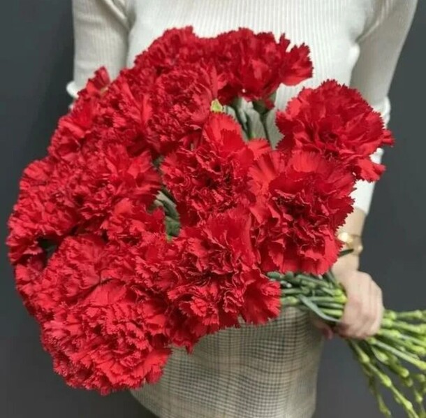 Гвоздика красная, артикул F1411694 - 1400 рублей, доставка по городу. Flawery - доставка цветов