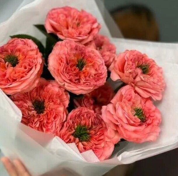 Букет из роз сорта мандарин экспрешн (7 шт), артикул F1462882 - 3990 рублей, доставка по городу. Flawery - доставка цветов