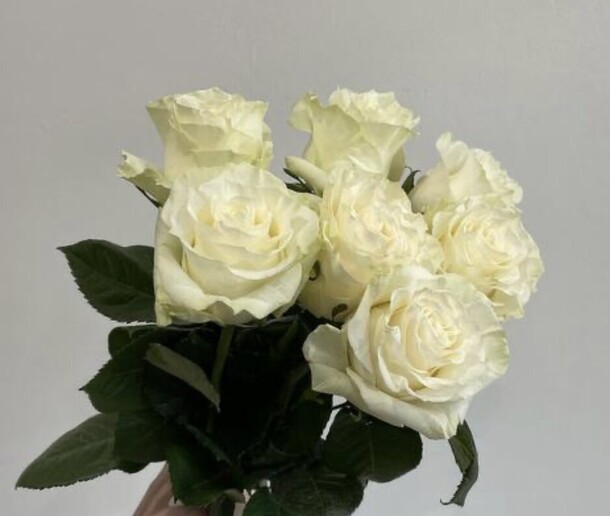 7 белых роз под ленту, артикул F1378265 - 2550 рублей, доставка по городу. Flawery - доставка цветов