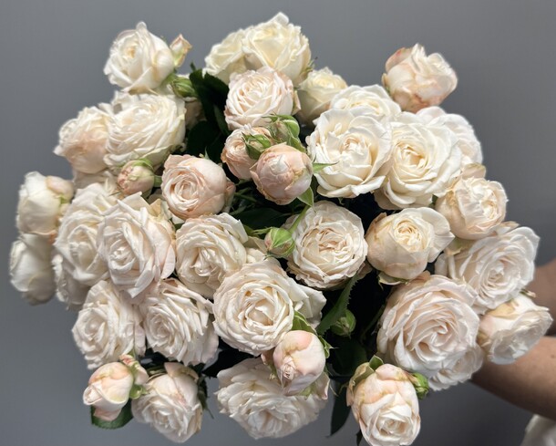 Роза кустовая пионовидная бомбастик, артикул F1351728 - 6000 рублей, доставка по городу. Flawery - доставка цветов