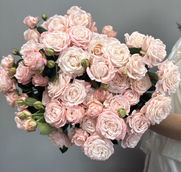 Роза кустовая мадам бомбастик, артикул F1351732 - 7500 рублей, доставка по городу. Flawery - доставка цветов