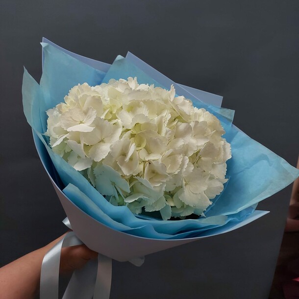 Белая гортензия, артикул F1296346 - 1500 рублей, доставка по городу. Flawery - доставка цветов