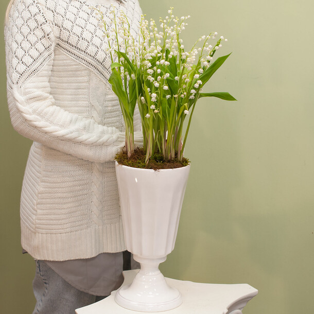 Цветочная композиция "ландыши", артикул F1082 - 29200 рублей, доставка по городу. Flawery - доставка цветов