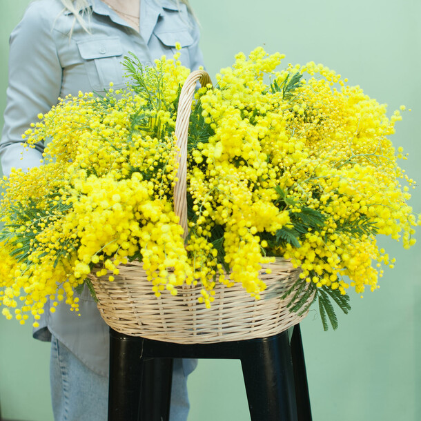 Корзина с цветами "мимоза золотистая", артикул F1174308 - 29900 рублей, доставка по городу. Flawery - доставка цветов