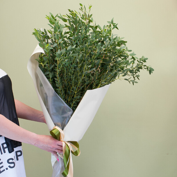 Эвкалипт парвифолия большой в упаковке, артикул F1201971 - 4700 рублей, доставка по городу. Flawery - доставка цветов