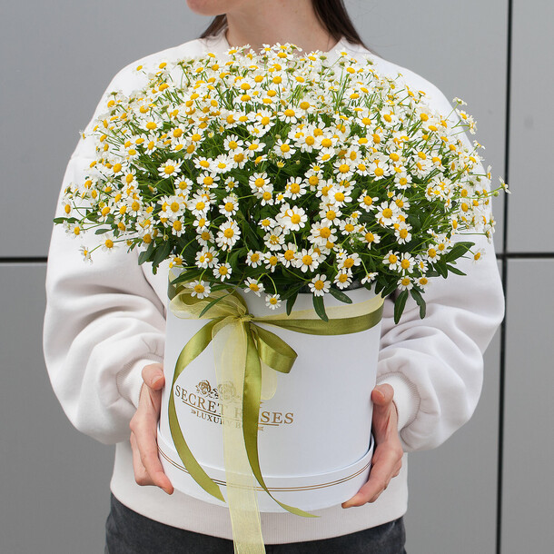 Коробка с ромашками "ромашка полевая", артикул F1435235 - 9900 рублей, доставка по городу. Flawery - доставка цветов