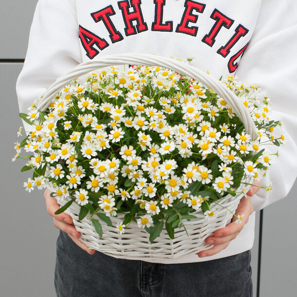 Корзинка с цветами "ромашковый цвет", артикул F1435774 - 6700 рублей, доставка по городу. Flawery - доставка цветов