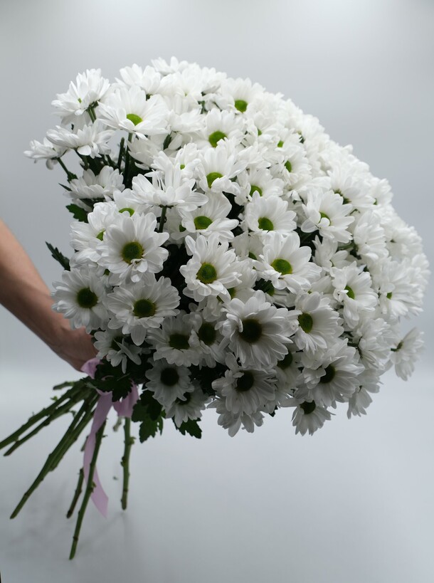 Букет из хризантем, артикул F1353502 - 3400 рублей, доставка по городу. Flawery - доставка цветов