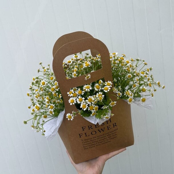 Ромашка в сумке крафт, артикул F1359381 - 5591 рублей, доставка по городу. Flawery - доставка цветов