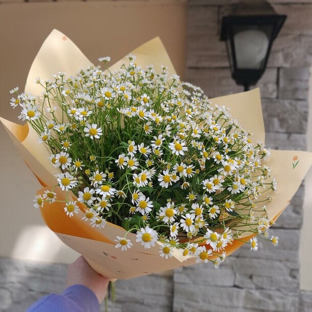 Букет ромашек, артикул F1360294 - 5303 рублей, доставка по городу. Flawery - доставка цветов
