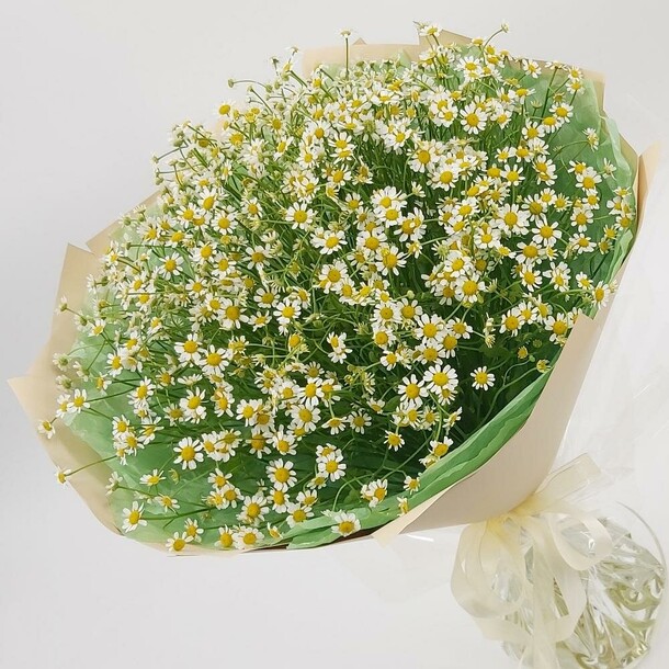 Летние ромашки, артикул F1360300 - 11682 рублей, доставка по городу. Flawery - доставка цветов