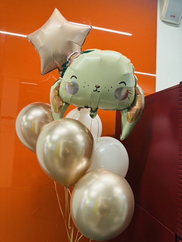 Шарики милые, артикул F1396077 - 3500 рублей, доставка по городу. Flawery - доставка цветов