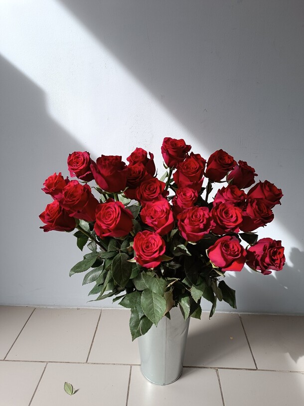 25 красных роз премиум, артикул F1356628 - 12532 рублей, доставка по городу. Flawery - доставка цветов