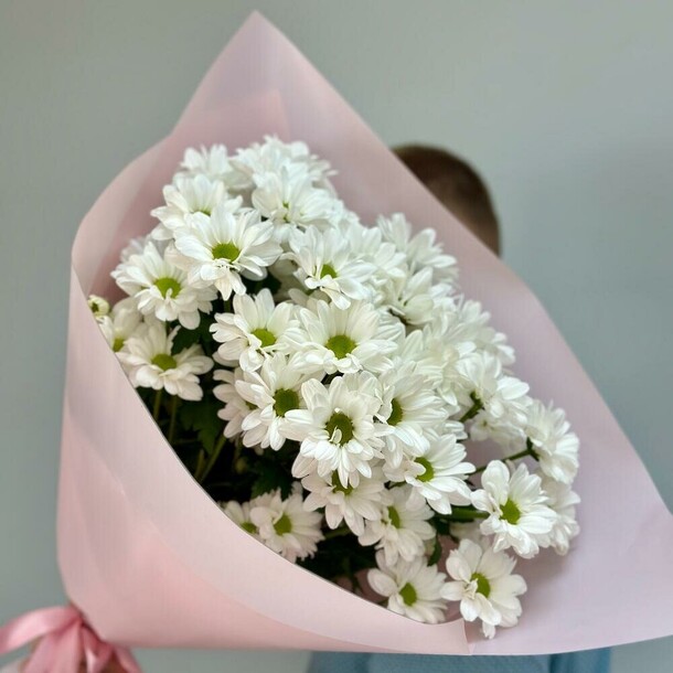 Букет белая ромашка хризантема, артикул F1444837 - 3930 рублей, доставка по городу. Flawery - доставка цветов