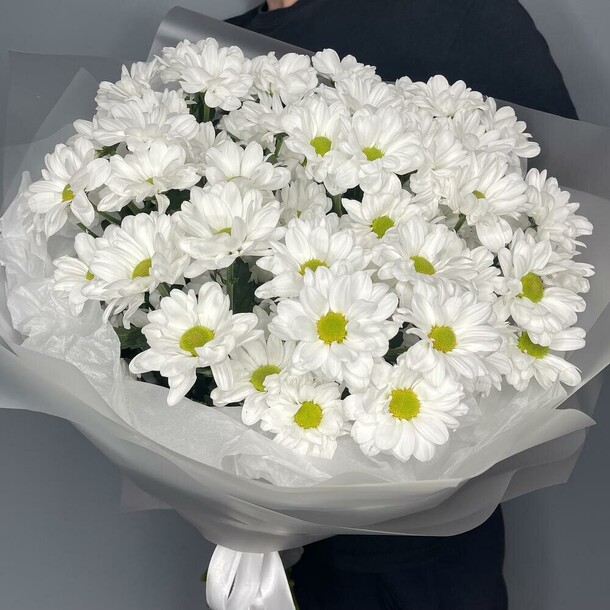 🤍хризантема ромашка 🤍(моно), артикул F1447897 - 5000 рублей, доставка по городу. Flawery - доставка цветов