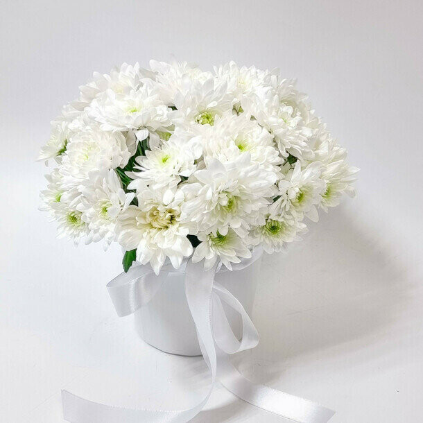 Хризантема в коробочке, артикул F1504747 - 4200 рублей, доставка по городу. Flawery - доставка цветов