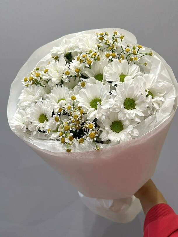 Хризантема с ромашкой, артикул F1356990 - 3390 рублей, доставка по городу. Flawery - доставка цветов