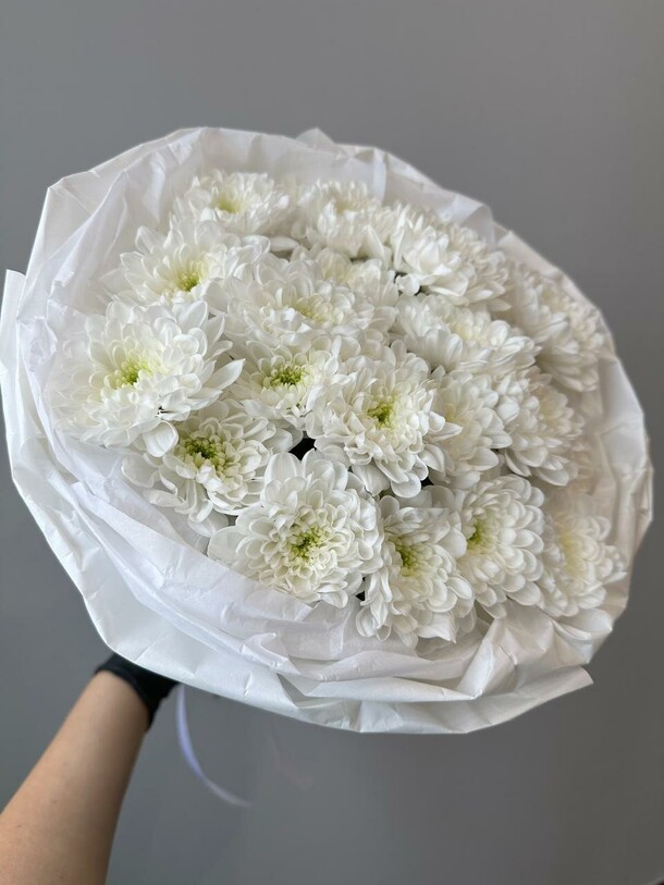 Хризантема 5 шт, артикул F1373153 - 2300 рублей, доставка по городу. Flawery - доставка цветов