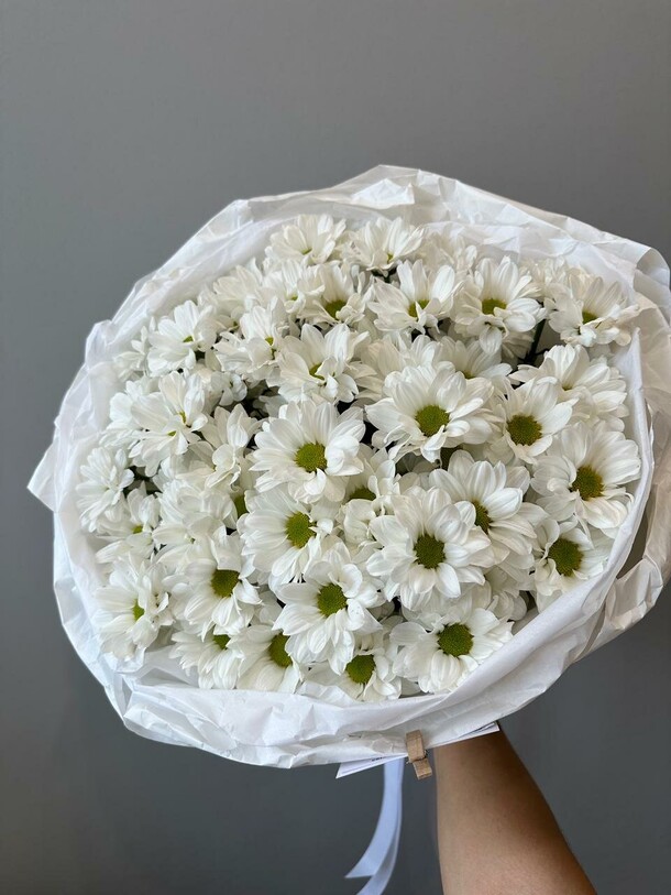 Хризантема ромашковая 5 шт, артикул F1385376 - 2300 рублей, доставка по городу. Flawery - доставка цветов