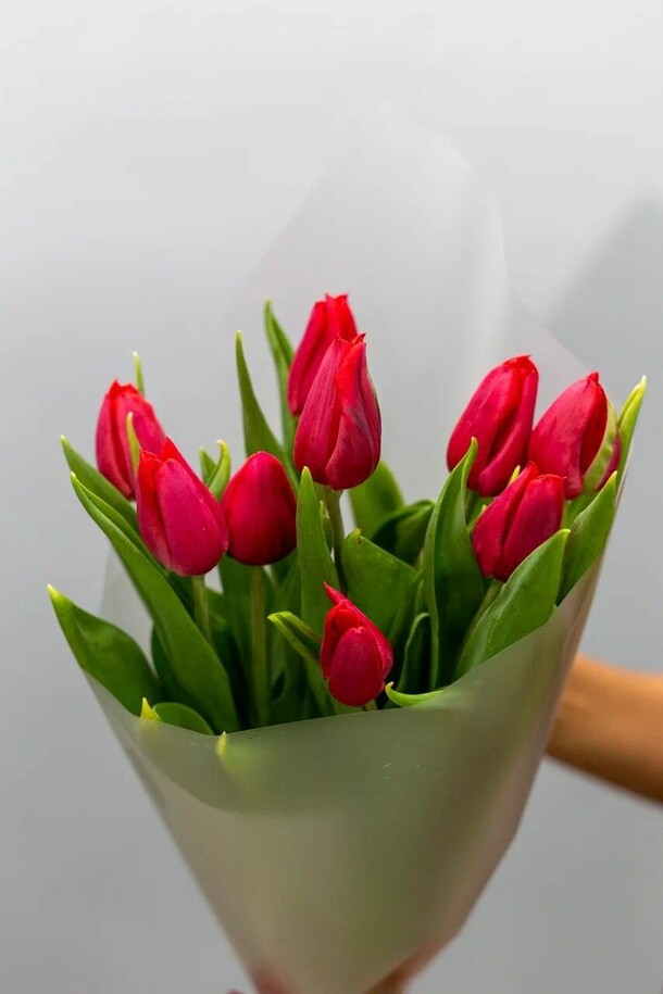 Тюльпаны в минималистичном букете, артикул F1367605 - 1999 рублей, доставка по городу. Flawery - доставка цветов