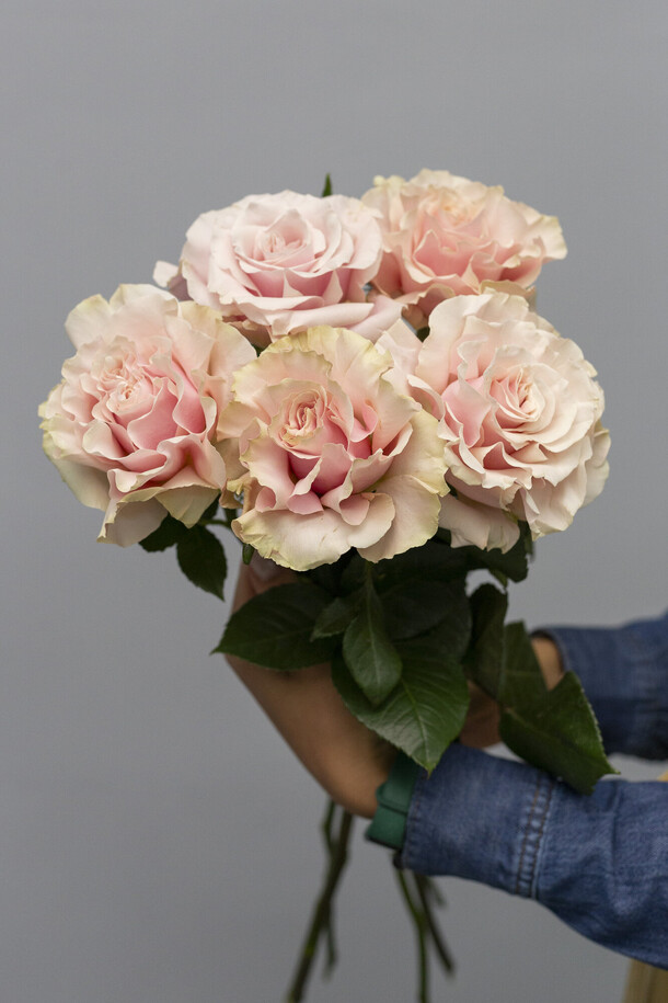 Французские розы пинк мондиаль, артикул F1471965 - 2800 рублей, доставка по городу. Flawery - доставка цветов