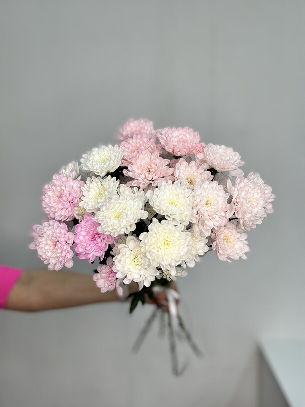 Кустовые хризантемы под ленту, артикул F1364949 - 3055 рублей, доставка по городу. Flawery - доставка цветов