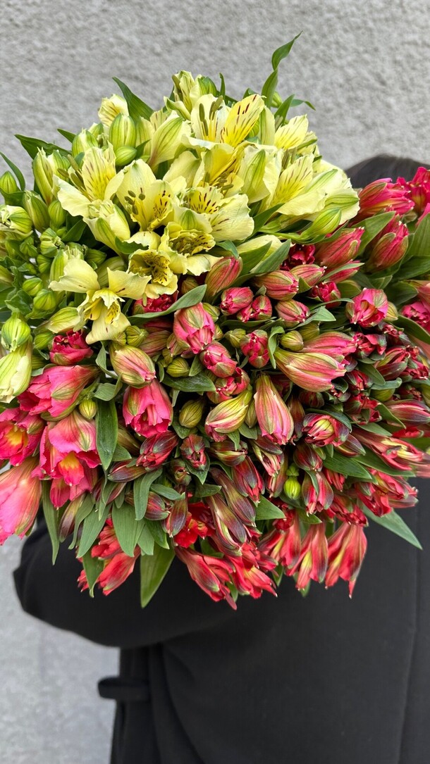 Моно букет из альстромерии, артикул F1283715 - 7600 рублей, доставка по городу. Flawery - доставка цветов