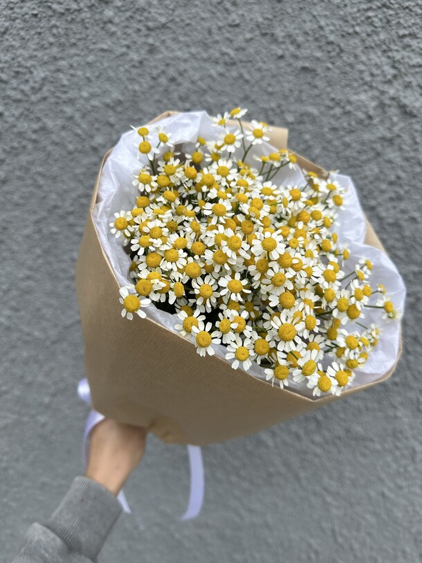 Монобукет из ромашки, артикул F1305533 - 2700 рублей, доставка по городу. Flawery - доставка цветов