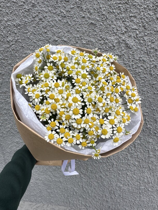 Монобукет из матрикарии, артикул F1317454 - 2750 рублей, доставка по городу. Flawery - доставка цветов