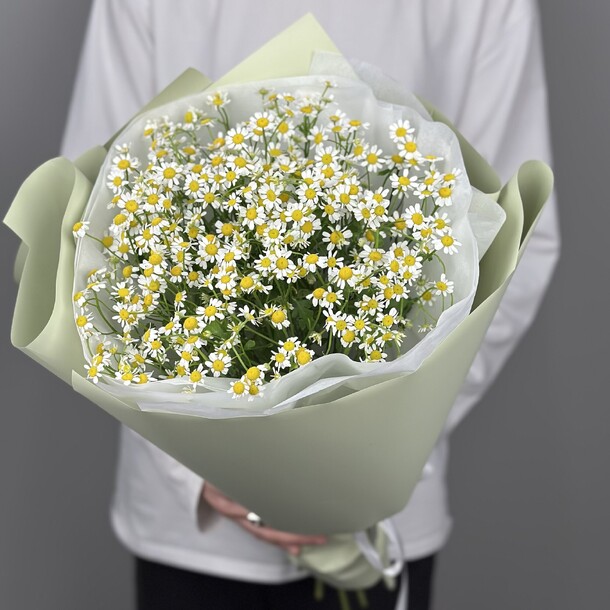 Монобукет из 11 ромашек, артикул F1393652 - 4570 рублей, доставка по городу. Flawery - доставка цветов