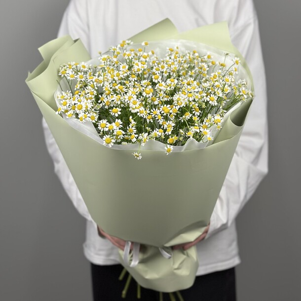 Монобукет из 13 ромашек, артикул F1393653 - 5370 рублей, доставка по городу. Flawery - доставка цветов