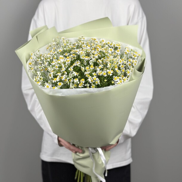 Монобукет из 17 ромашек, артикул F1393656 - 6160 рублей, доставка по городу. Flawery - доставка цветов