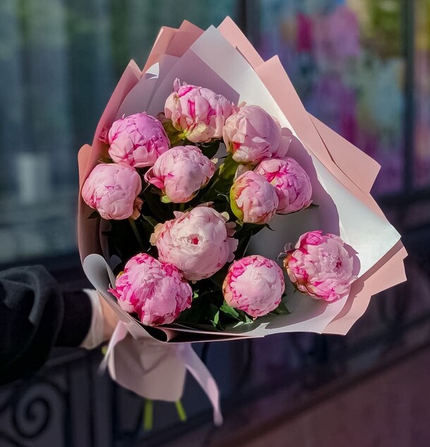 11 пионов сара бернар, артикул F1123171 - 12750 рублей, доставка по городу. Flawery - доставка цветов