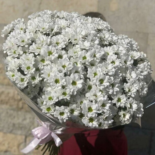 Ромашки хризантемы большой букет (e303), артикул F1304766 - 11200 рублей, доставка по городу. Flawery - доставка цветов