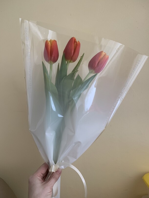 Тюльпаны красные, артикул F1393103 - 800 рублей, доставка по городу. Flawery - доставка цветов