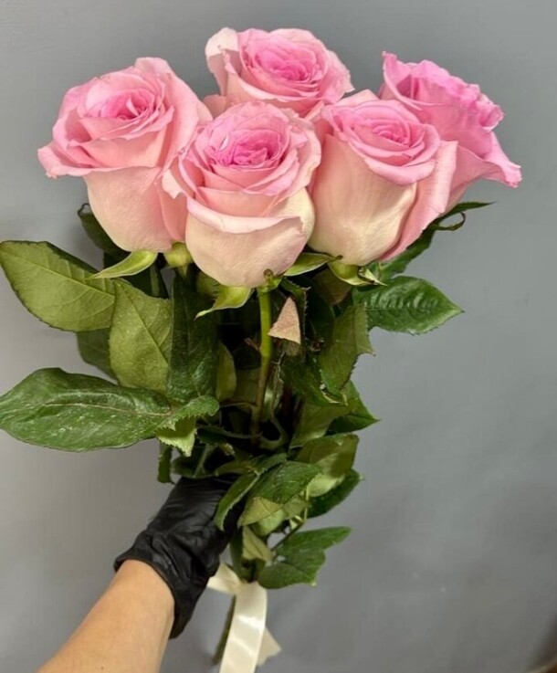 5 розовых роз, артикул F1491057 - 1850 рублей, доставка по городу. Flawery - доставка цветов