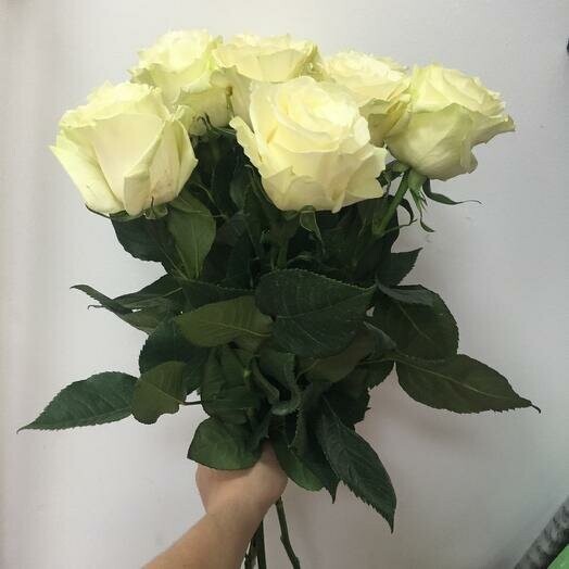 Роза мондиаль 60-70 см 9 шт, артикул F1402047 - 2850 рублей, доставка по городу. Flawery - доставка цветов