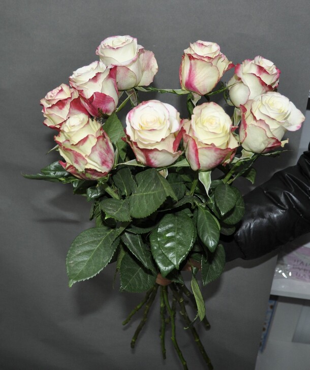 Букет из 9 эквадорских роз "свитнесс", артикул F1404131 - 2620 рублей, доставка по городу. Flawery - доставка цветов