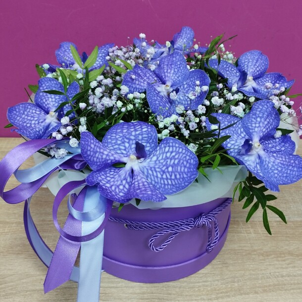 Орхидея ванда в шляпной коробке, артикул F1371256 - 7350 рублей, доставка по городу. Flawery - доставка цветов